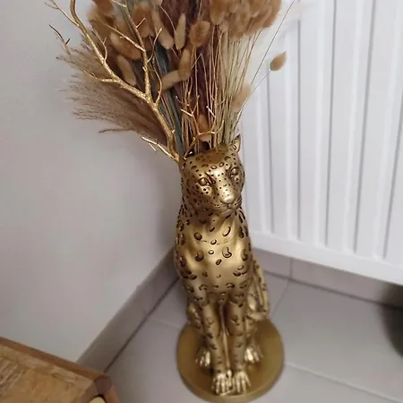 Escal'home Design Au Pied De L'aeroport, Parkings *