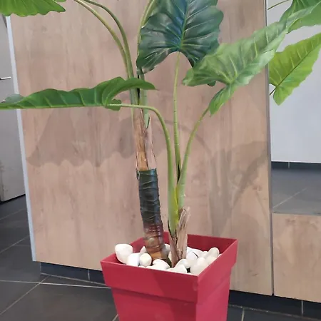 Escal'home Design Au Pied De L'aeroport, Parkings 아파트
